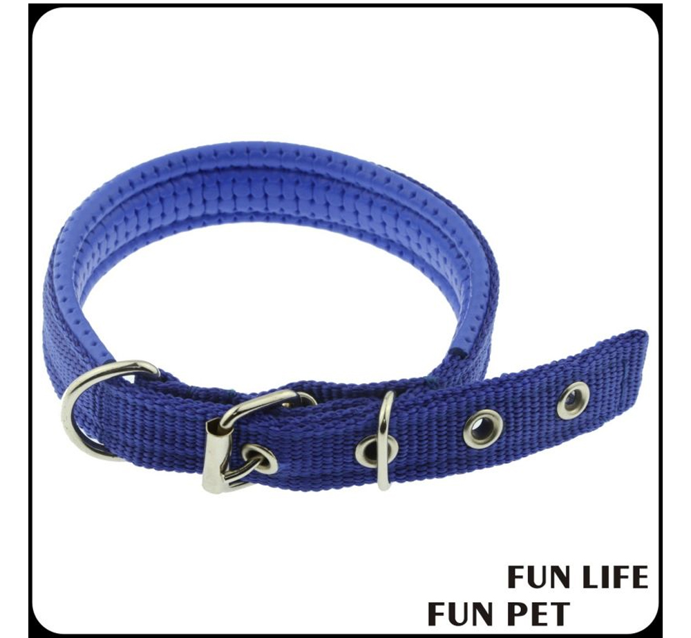 Custom Reflective Nylon Dog Collar with Soft Sponge Padding (2).jpg